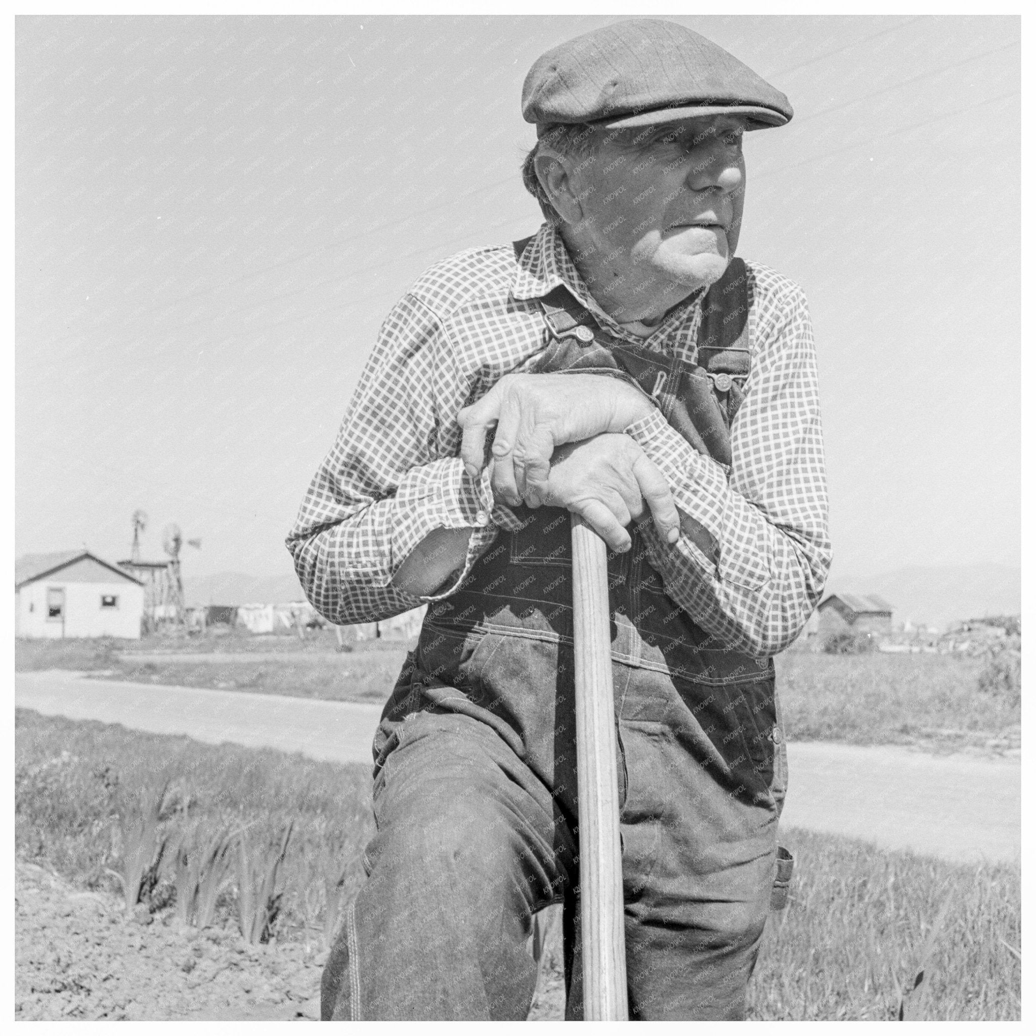 Farmers and Lettuce Workers in Salinas 1939 - Available at KNOWOL