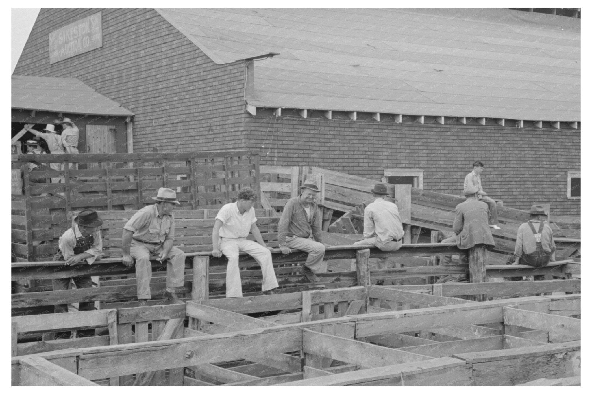 Farmers at Cattle Auction in Sikeston Missouri May 1938 - Available at KNOWOL