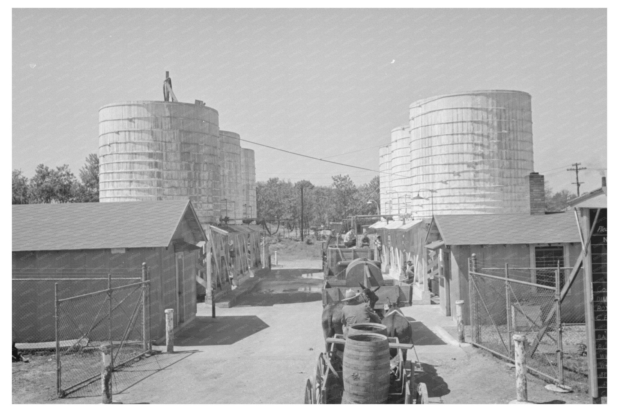 Farmers at Liquid Feed Loading Station Owensboro 1938 - Available at KNOWOL