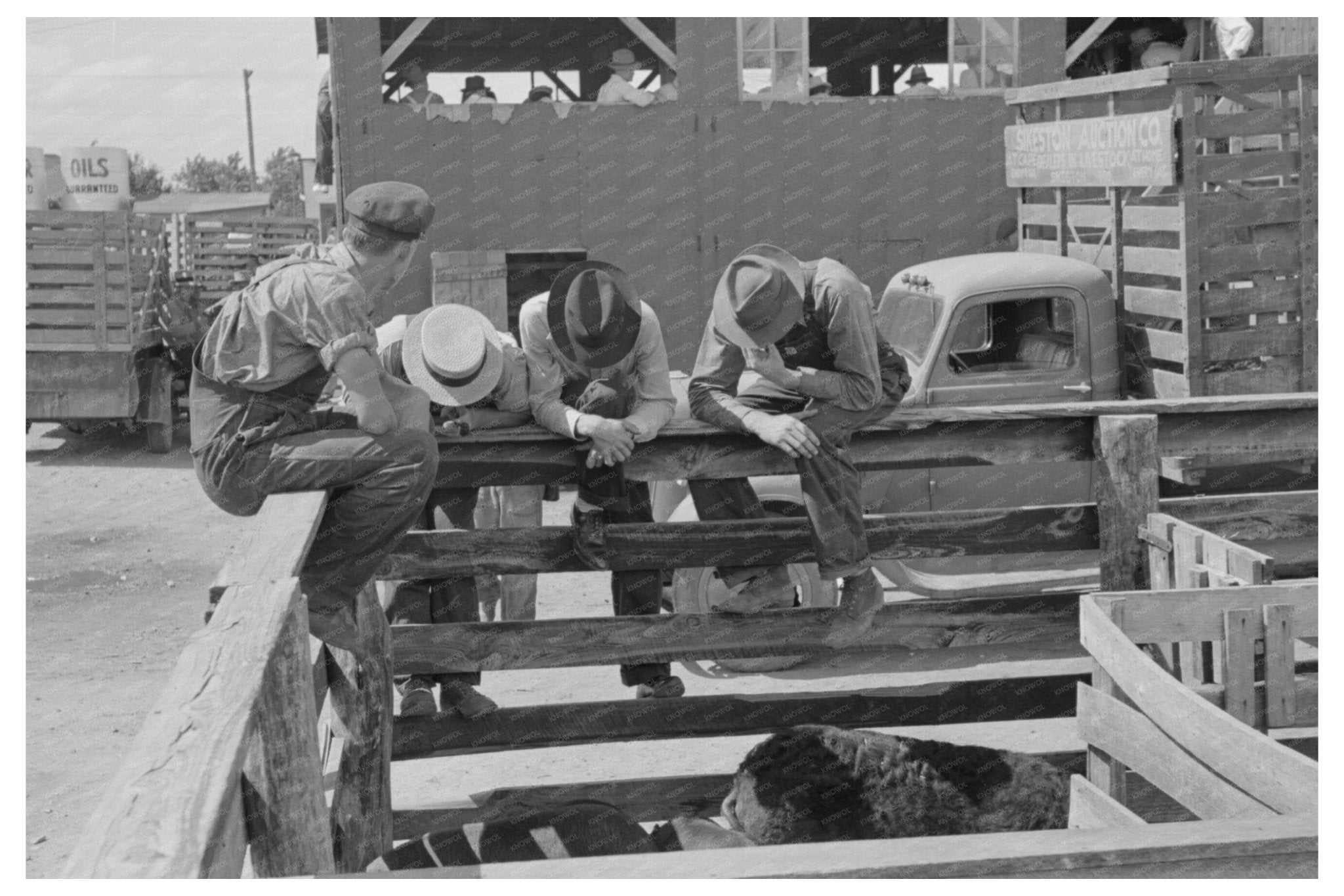 Farmers at Livestock Auction Sikeston Missouri May 1938 - Available at KNOWOL