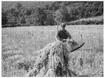 Farmers Cradling Wheat in Virginia 1936 - Available at KNOWOL