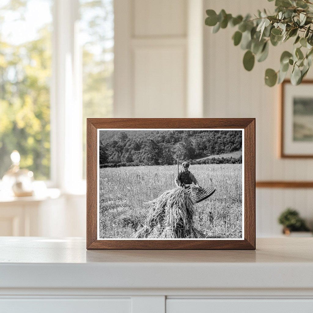 Farmers Cradling Wheat in Virginia 1936 - Available at KNOWOL