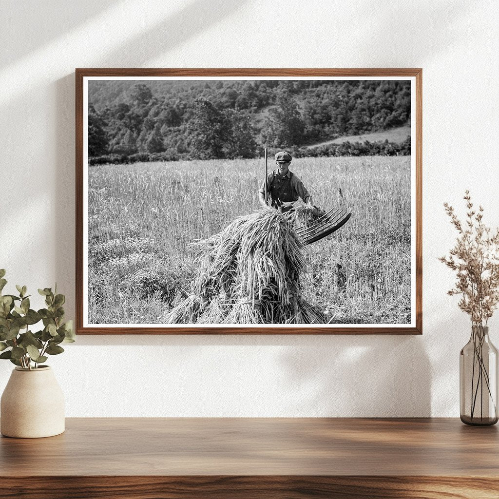 Farmers Cradling Wheat in Virginia 1936 - Available at KNOWOL