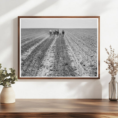 Farmers Cultivating Cotton Fields in Texas Panhandle 1938 - Available at KNOWOL