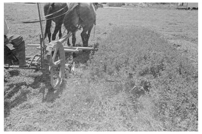 Farmers Cutting Alfalfa New Madrid County Missouri 1938 - Available at KNOWOL