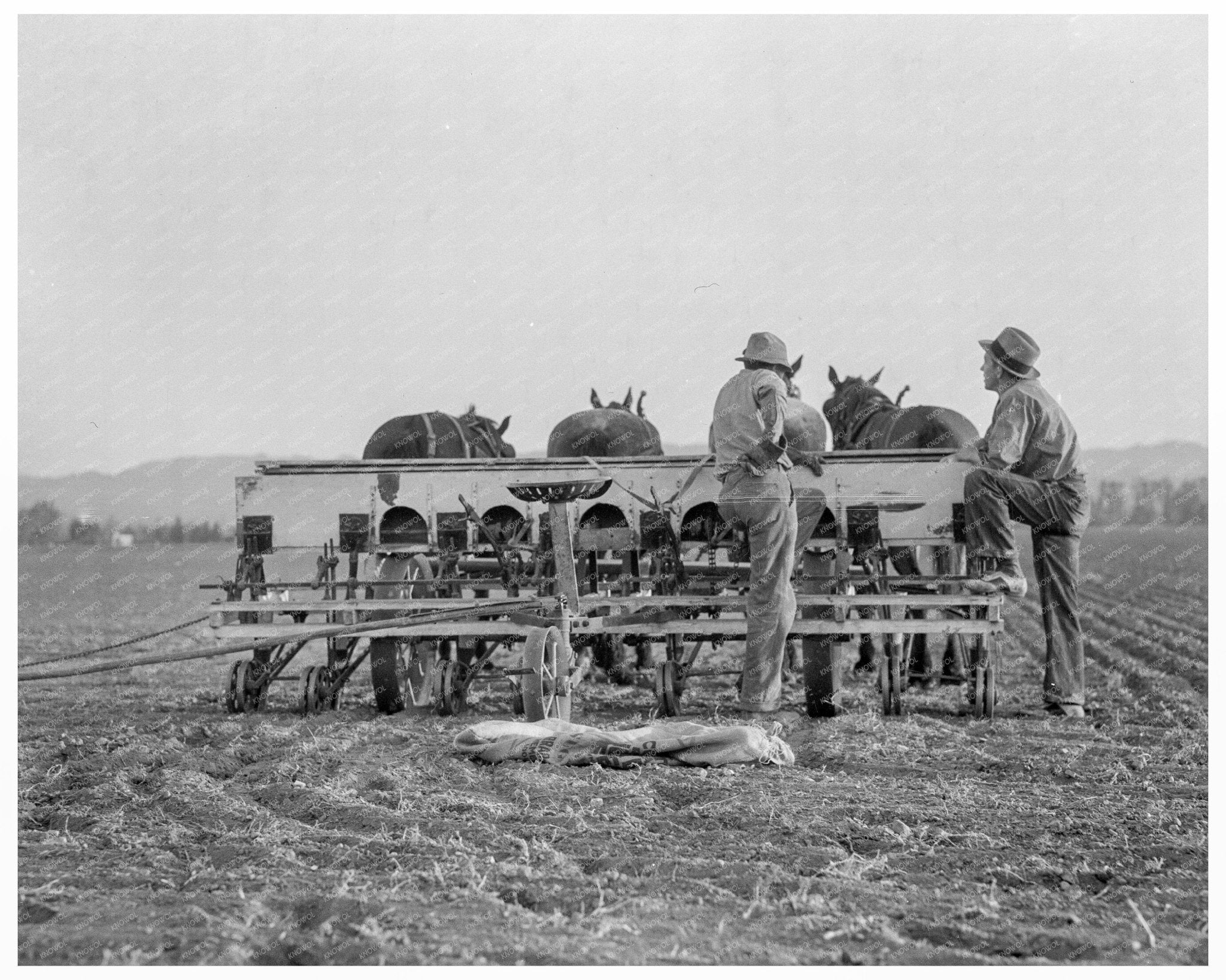 Farmers Discuss Politics in California Potato Fields 1936 - Available at KNOWOL