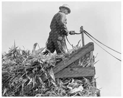 Farmers Driving Loaded Wagons to Silo Yamhill County 1939 - Available at KNOWOL