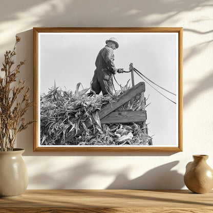 Farmers Driving Loaded Wagons to Silo Yamhill County 1939 - Available at KNOWOL