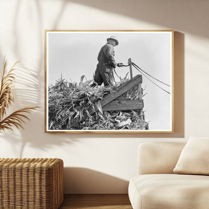 Farmers Driving Loaded Wagons to Silo Yamhill County 1939 - Available at KNOWOL