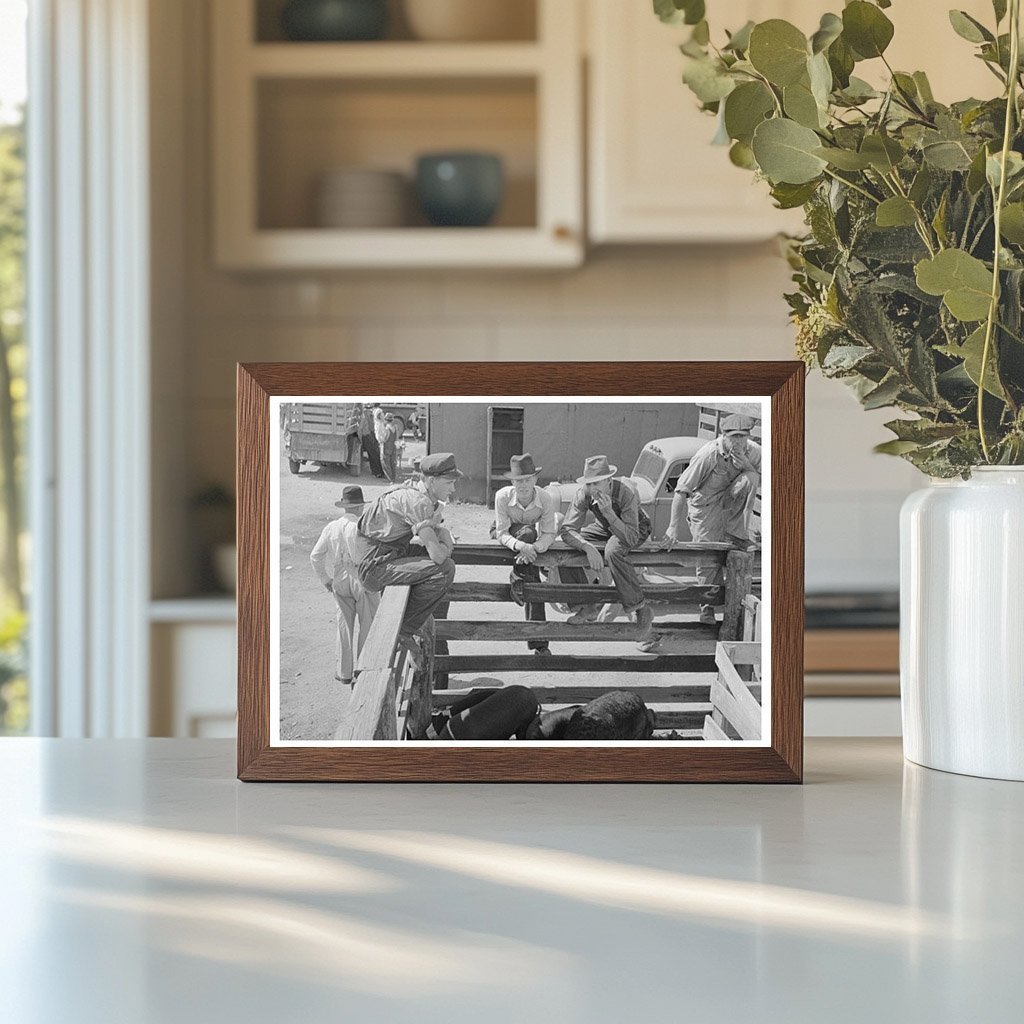 Farmers Examining Livestock Auction Sikeston Missouri 1938 - Available at KNOWOL