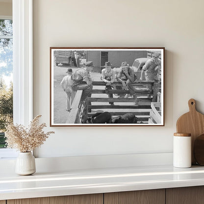 Farmers Examining Livestock Auction Sikeston Missouri 1938 - Available at KNOWOL