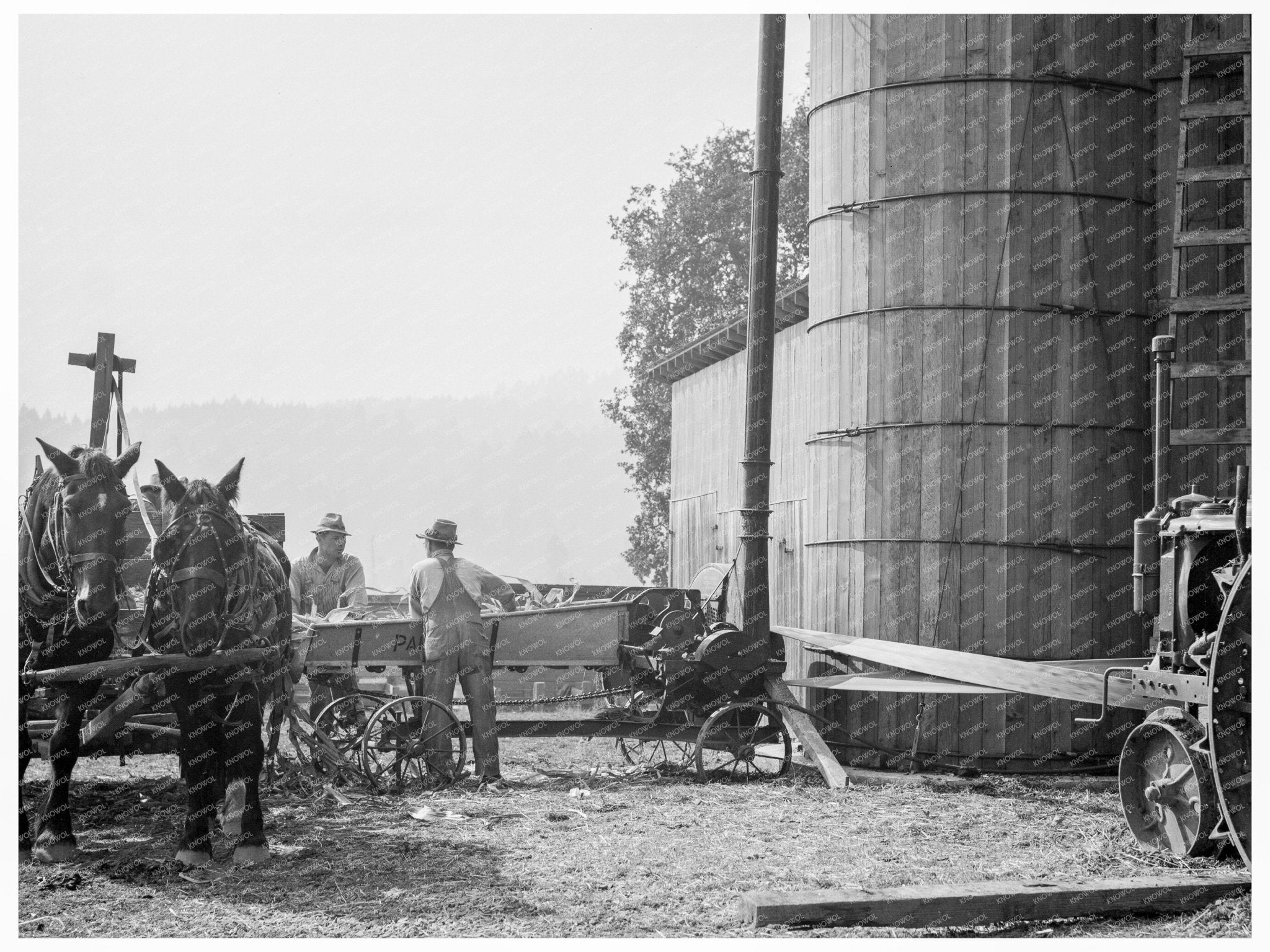 Farmers Feeding Corn to Ensilage Cutter in Oregon 1939 - Available at KNOWOL