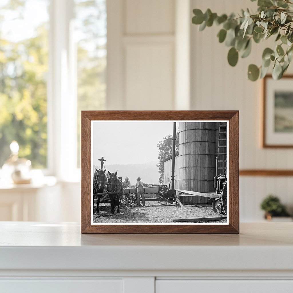 Farmers Feeding Corn to Ensilage Cutter in Oregon 1939 - Available at KNOWOL