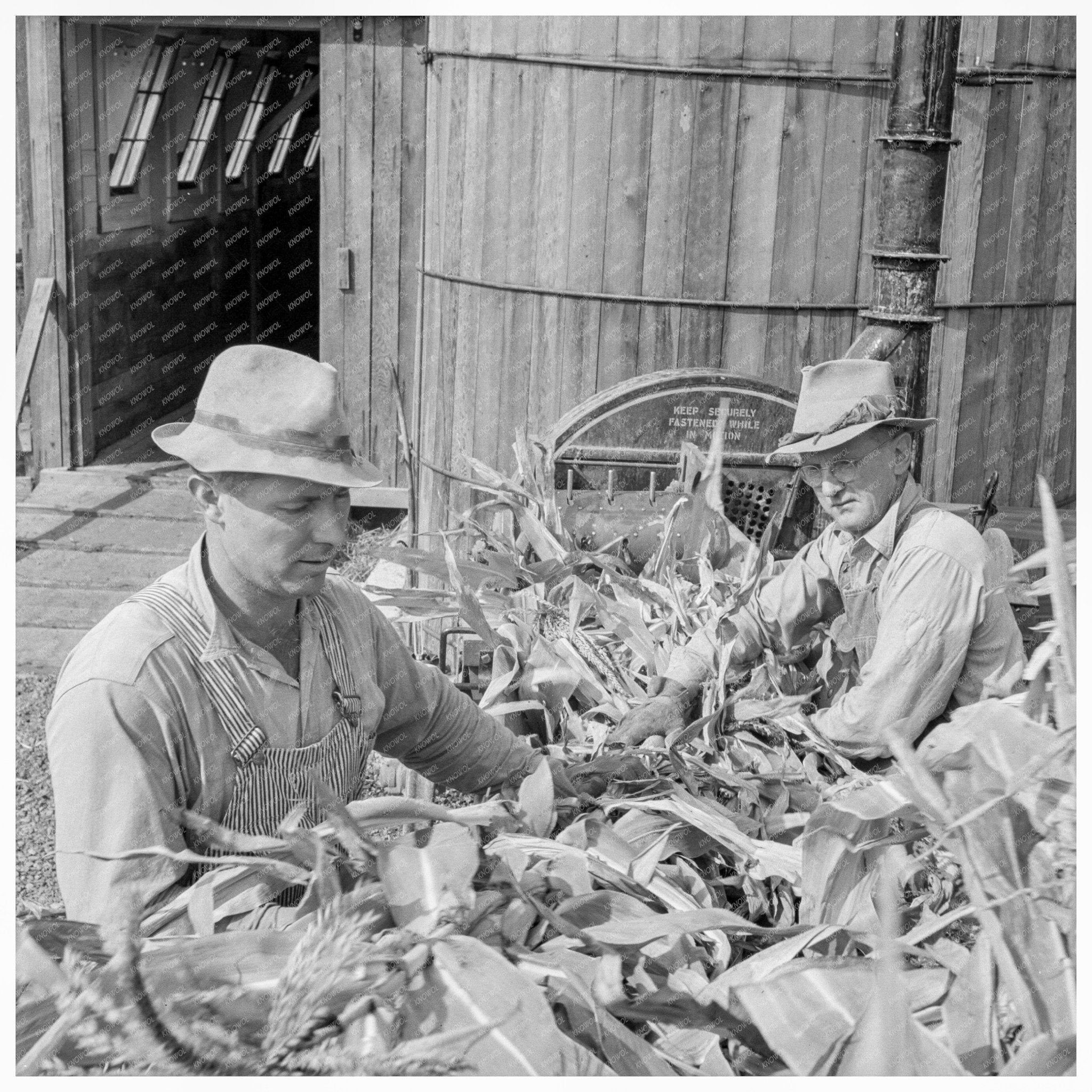 Farmers Feeding Corn to Ensilage Cutter Oregon 1939 - Available at KNOWOL