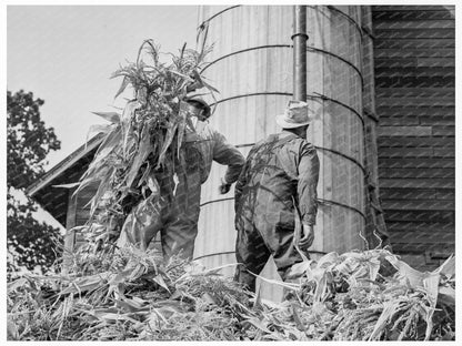 Farmers Feeding Corn to Ensilage Cutter Yamhill County 1939 - Available at KNOWOL