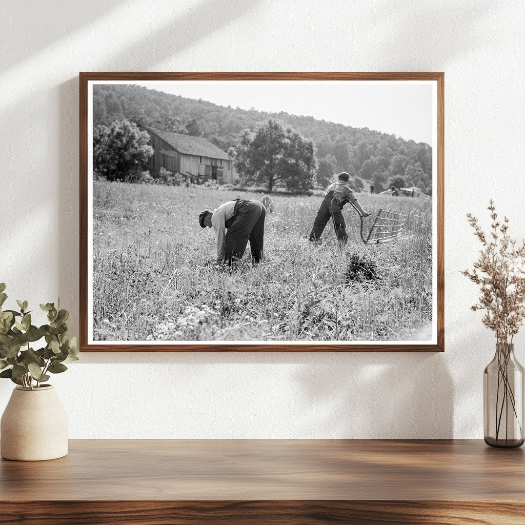 Farmers Harvesting Wheat in Virginia 1936 - Available at KNOWOL