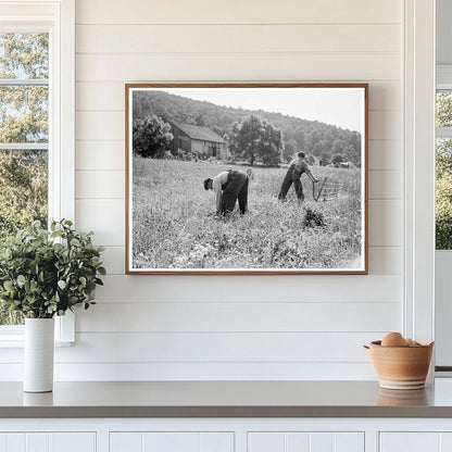 Farmers Harvesting Wheat in Virginia 1936 - Available at KNOWOL