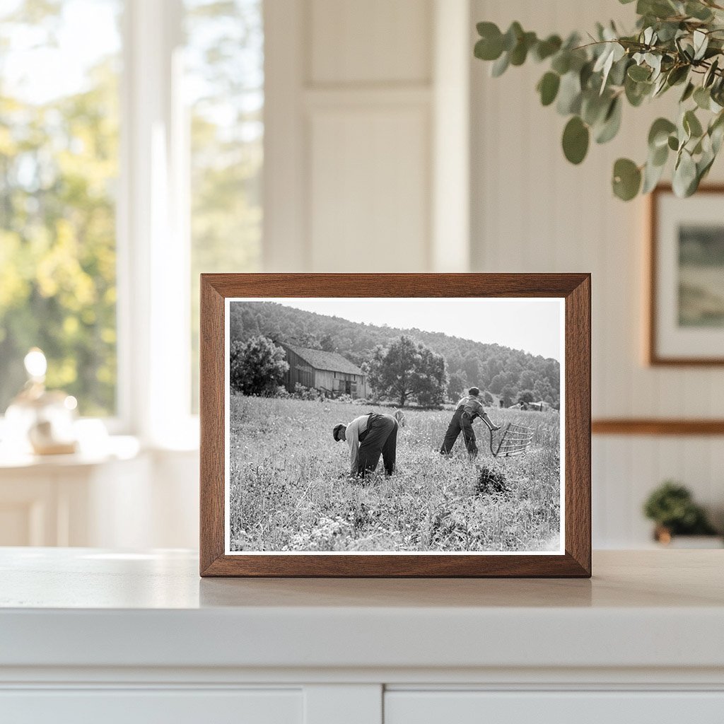 Farmers Harvesting Wheat in Virginia 1936 - Available at KNOWOL