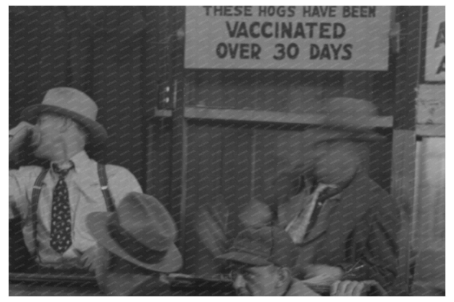 Farmers in Livestock Sales Hall Ames Iowa November 1936 - Available at KNOWOL