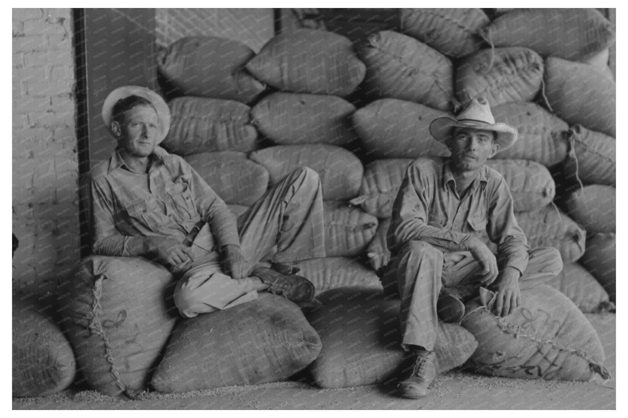 Farmers on Rice Bags at State Mill Abbeville 1938 - Available at KNOWOL