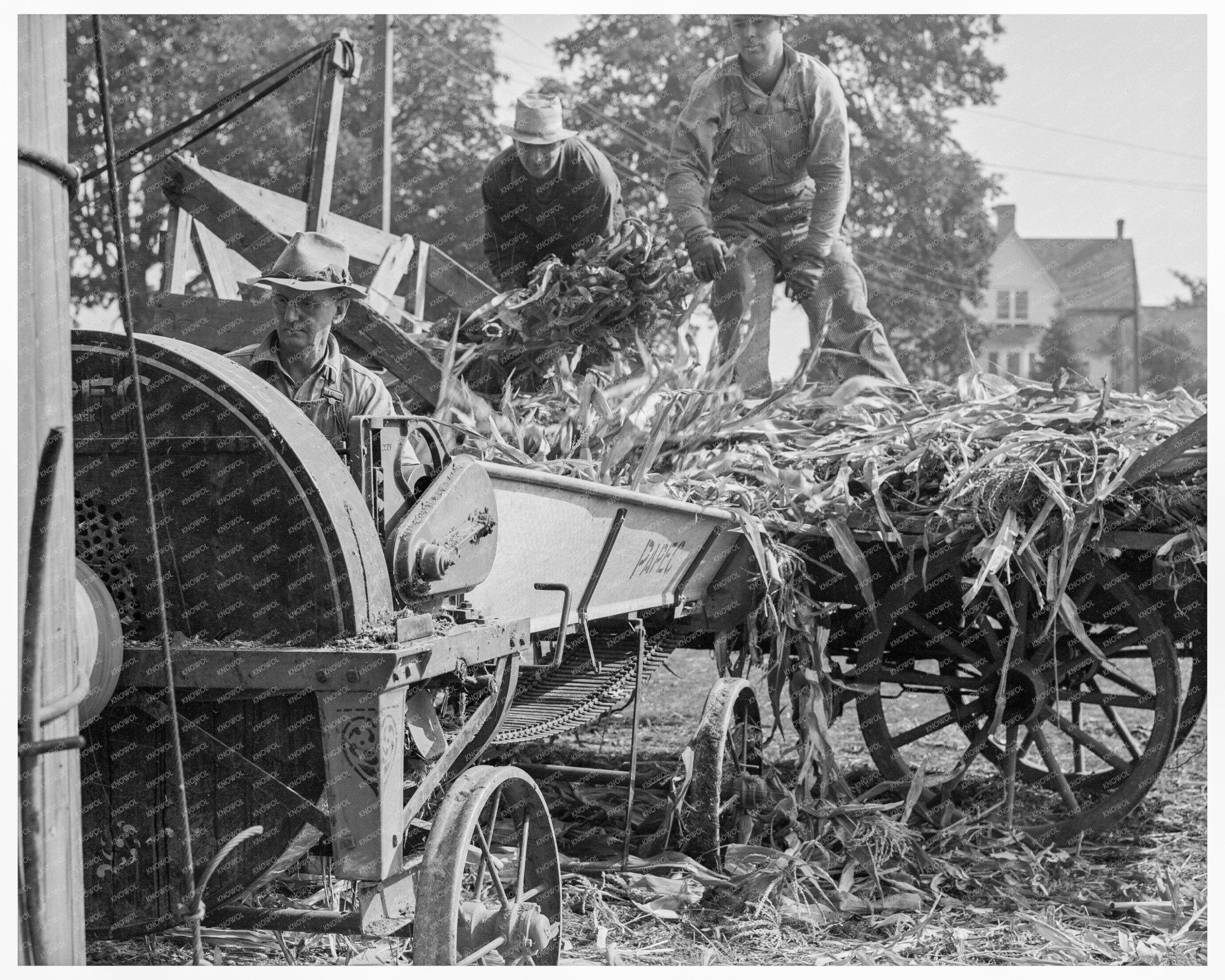 Farmers Operating Ensilage Cutter in Yamhill County 1939 - Available at KNOWOL