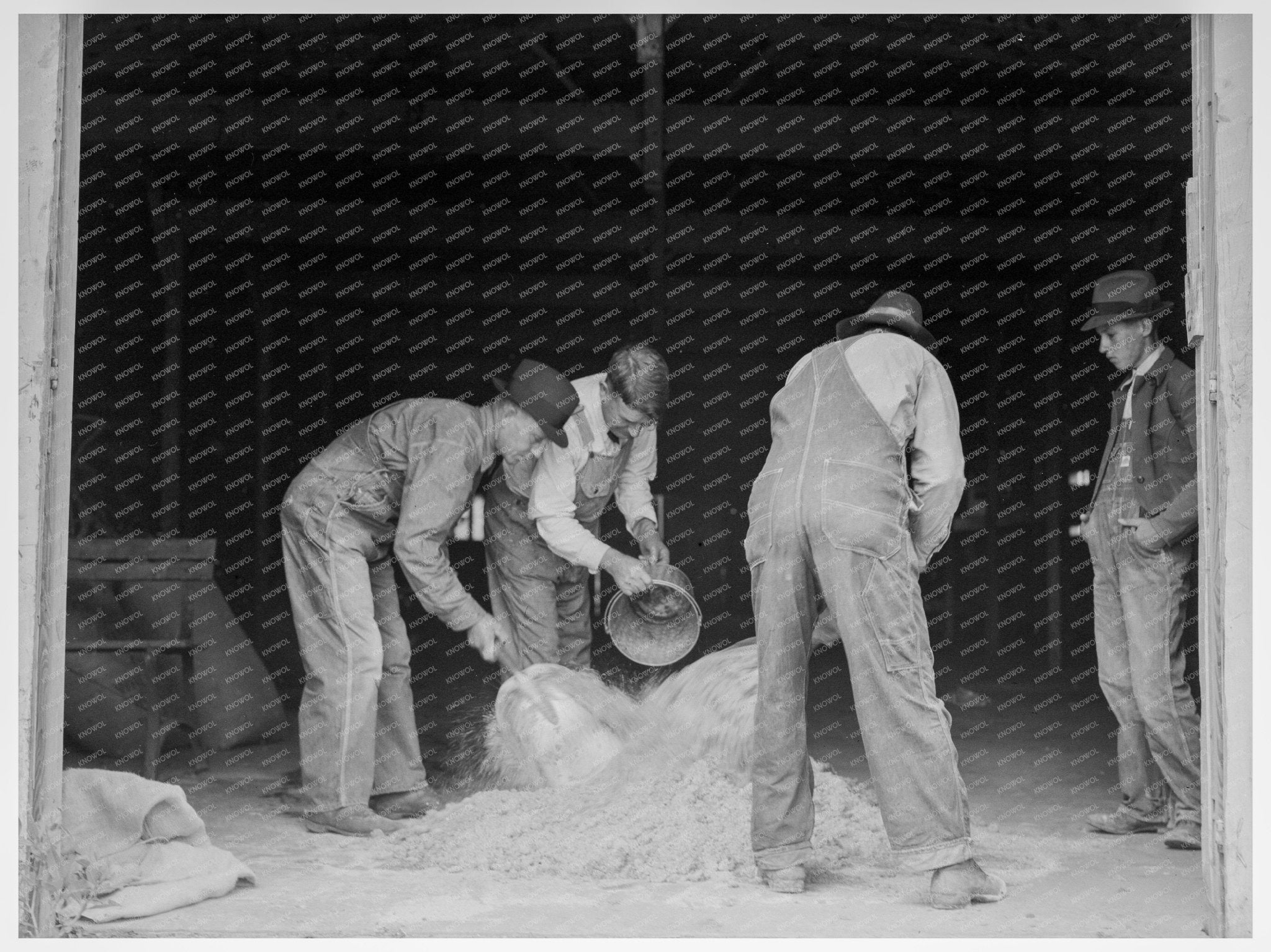 Farmers Preparing Grasshopper Bait in Oklahoma City 1937 - Available at KNOWOL