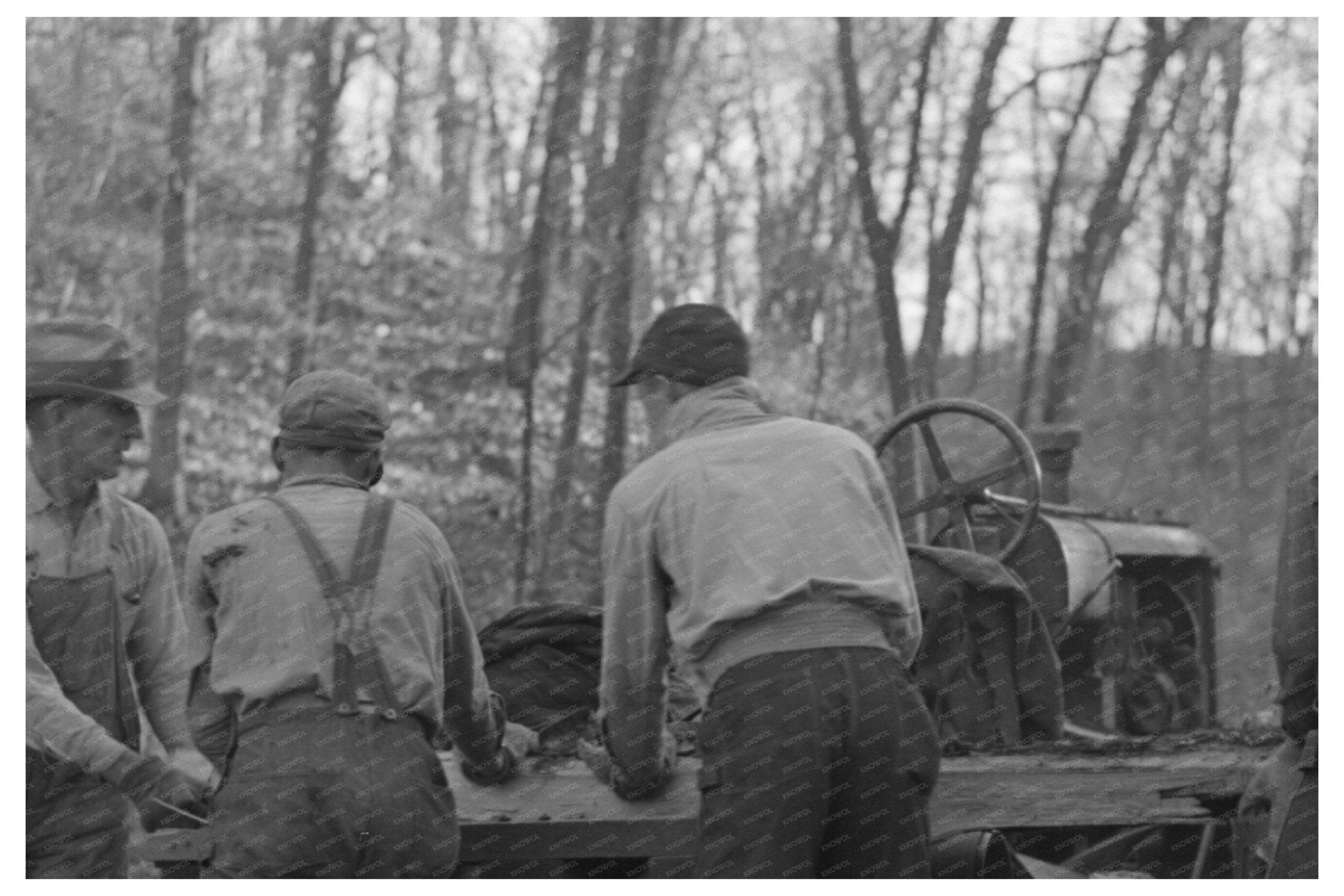 Farmers Sawing Wood for Fuel Aledo Illinois 1936 - Available at KNOWOL