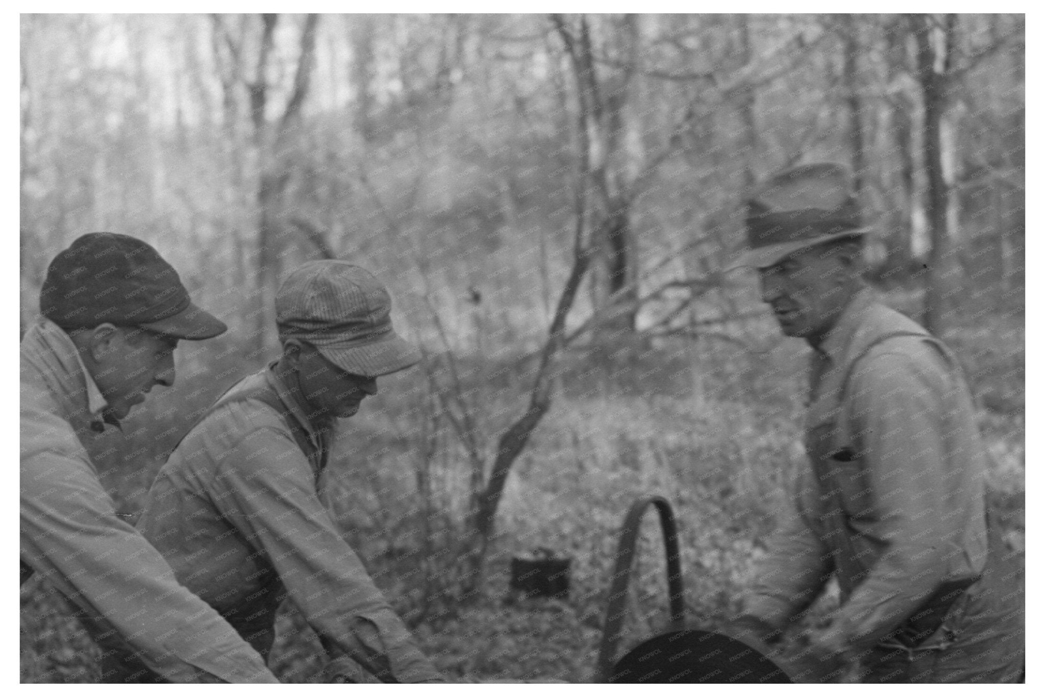 Farmers Sawing Wood for Fuel in Aledo Illinois 1936 - Available at KNOWOL