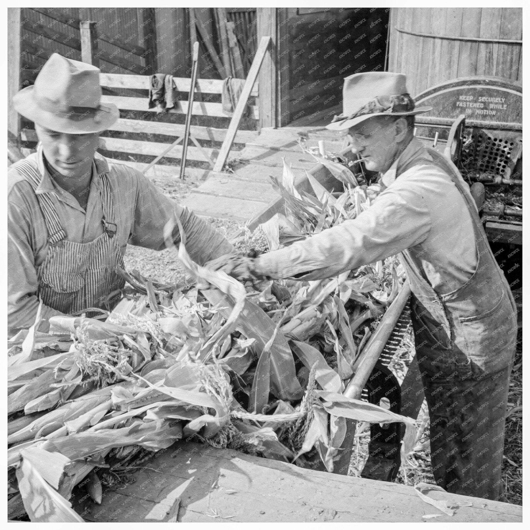 Farmers Using Ensilage Cutter in Yamhill County 1939 - Available at KNOWOL