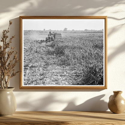 Farmers with All - Crop Harvester Tulare County 1938 - Available at KNOWOL