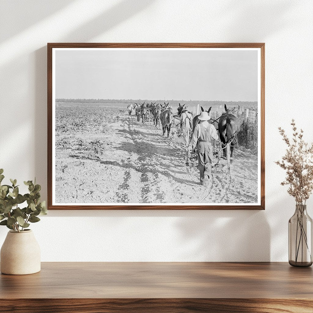 Farmers with Mule Teams at Lake Dick Project 1938 - Available at KNOWOL