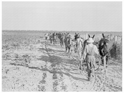 Farmers with Mule Teams at Lake Dick Project 1938 - Available at KNOWOL