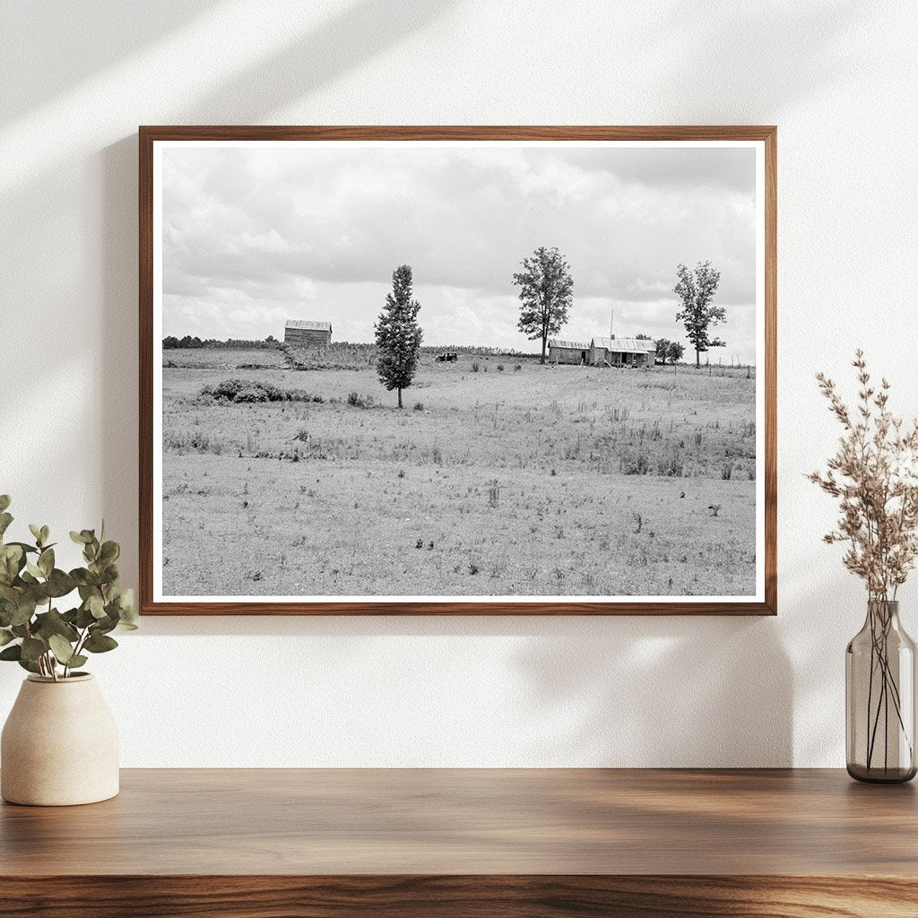 Farmhouse and Landscape in Chatham County 1939 - Available at KNOWOL