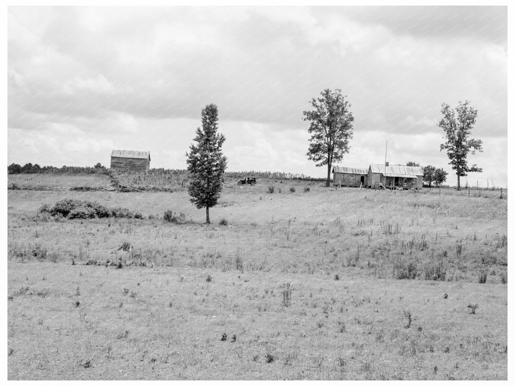 Farmhouse and Landscape in Chatham County 1939 - Available at KNOWOL