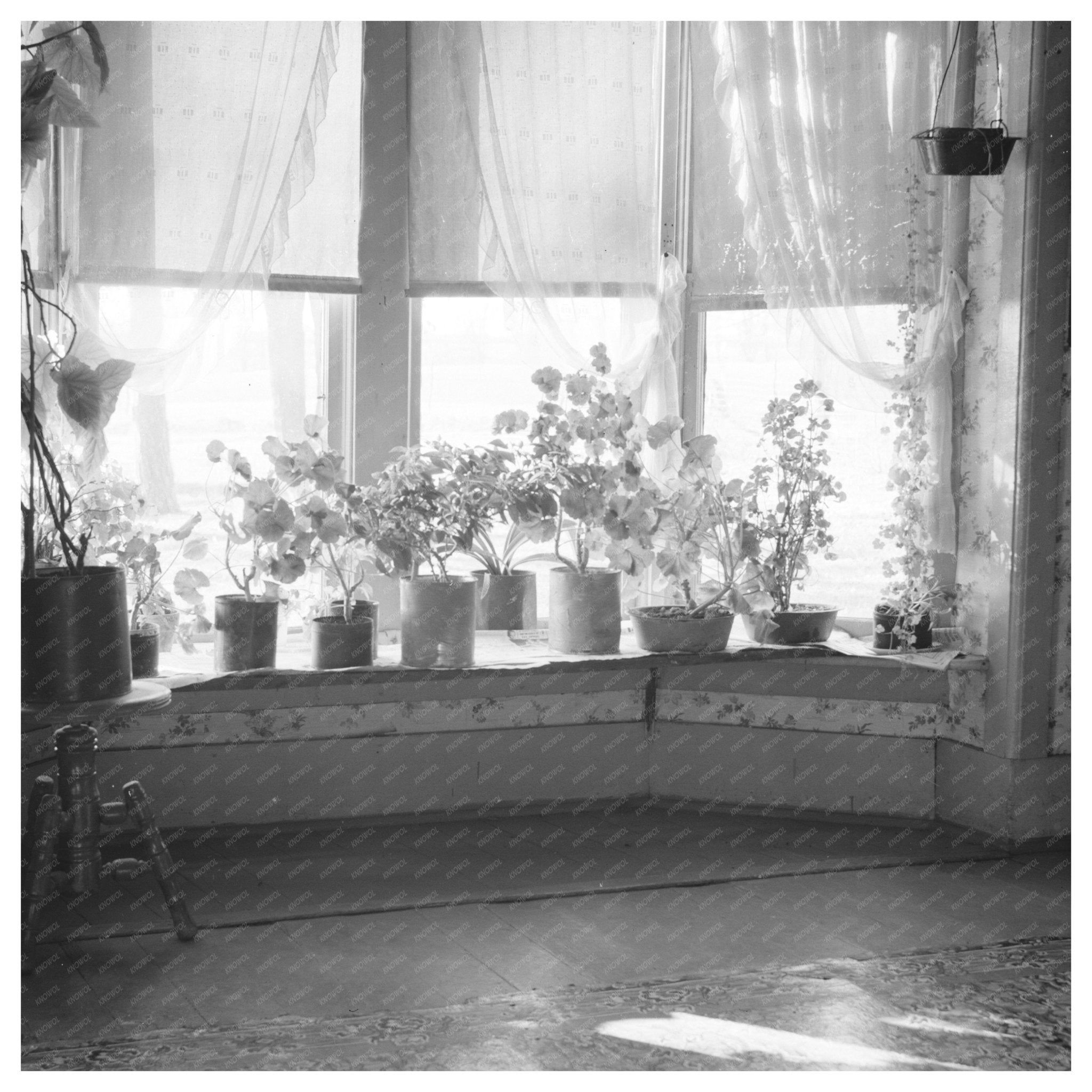 Farmhouse Living Room Window Mercer County Illinois 1936 - Available at KNOWOL