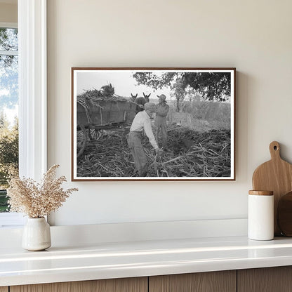 Farming Scene at Lake Dick Arkansas September 1938 - Available at KNOWOL