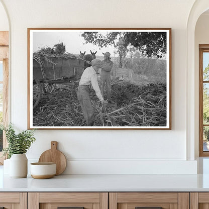 Farming Scene at Lake Dick Arkansas September 1938 - Available at KNOWOL