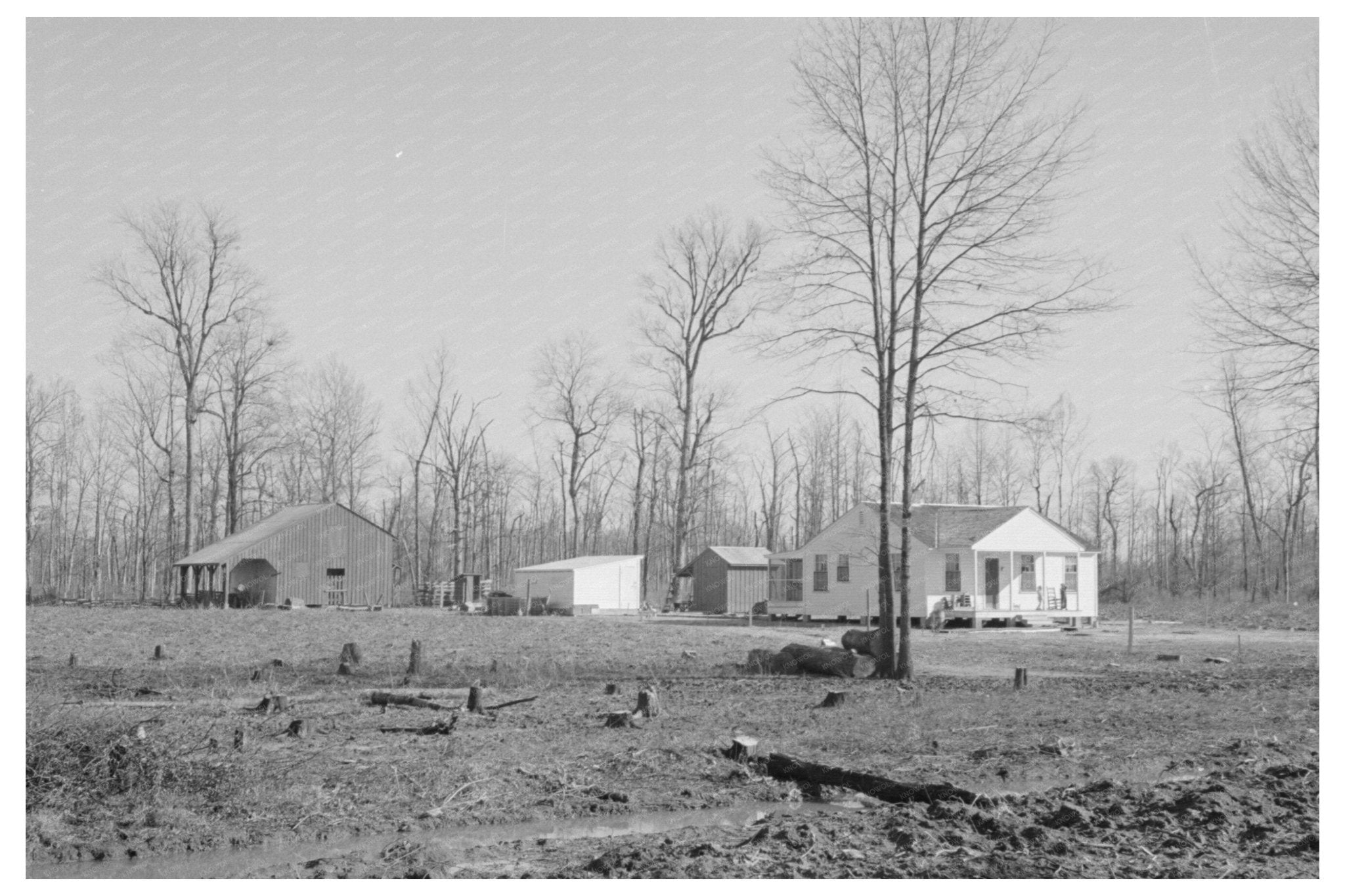 Farmstead in Chicot Farms Arkansas January 1939 - Available at KNOWOL