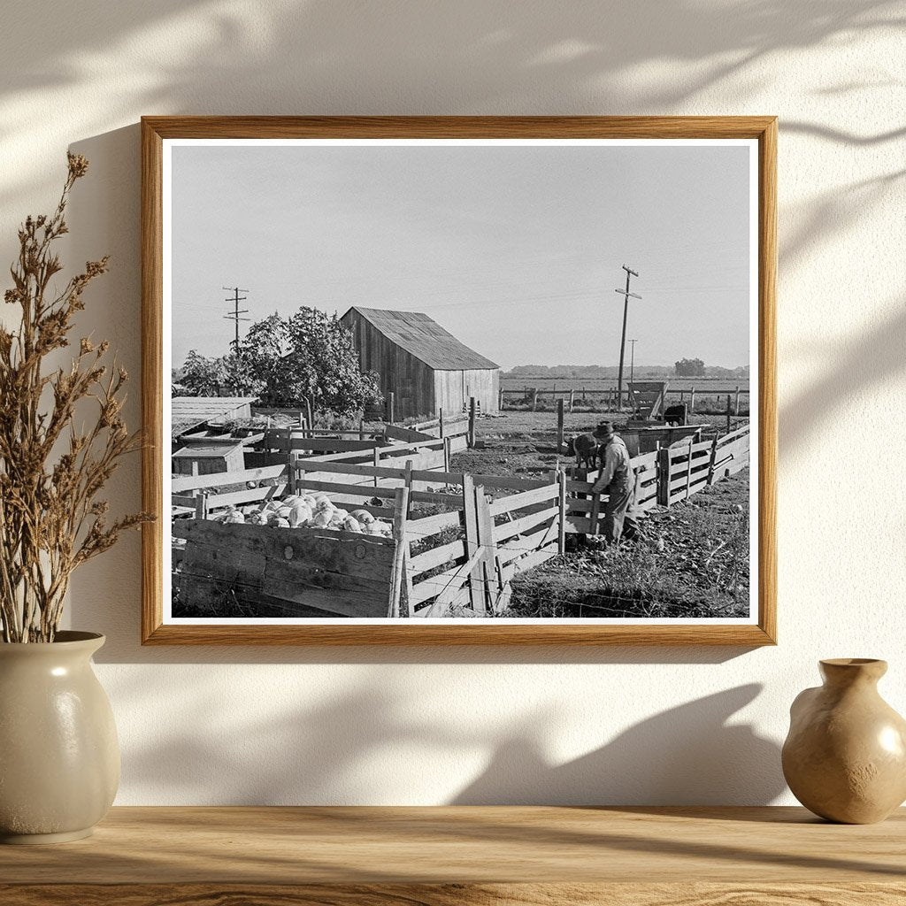 Farmyard in Tulare County California 1938 - Available at KNOWOL