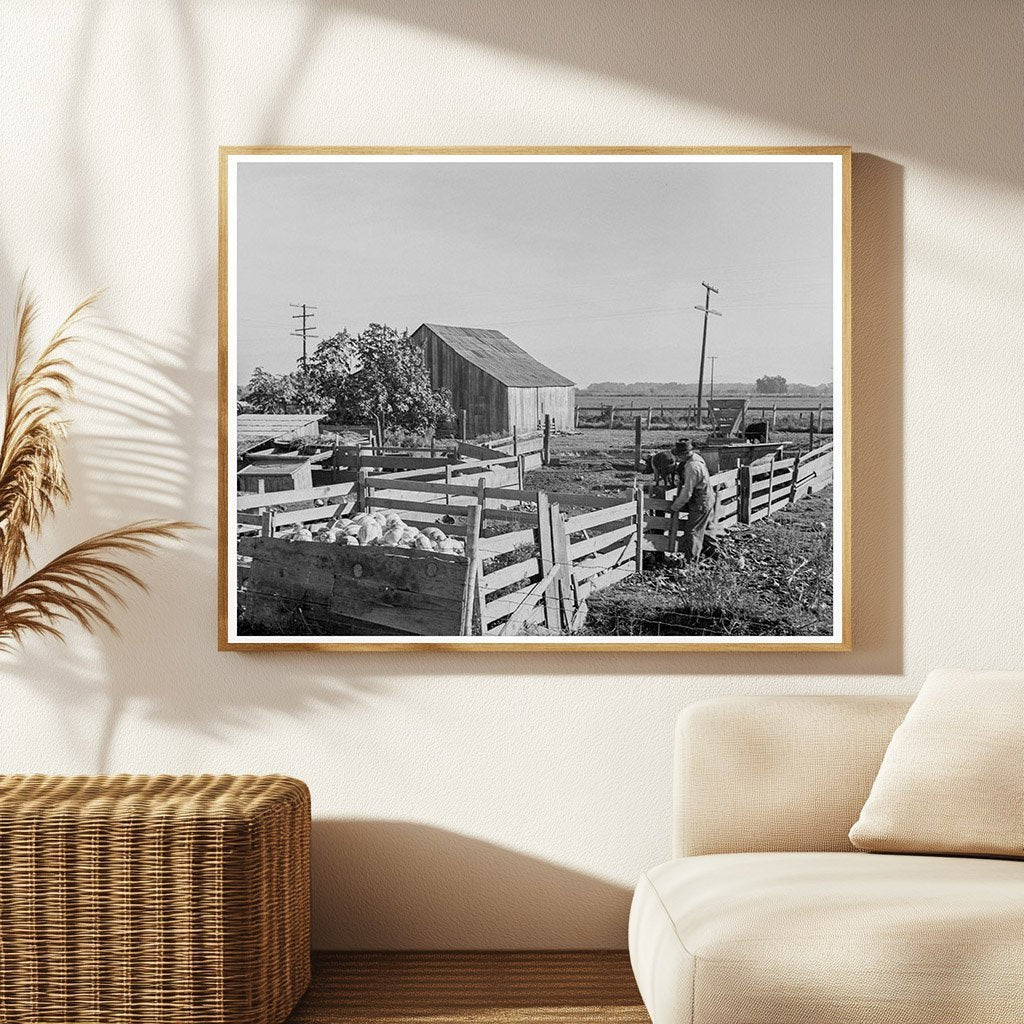 Farmyard in Tulare County California 1938 - Available at KNOWOL