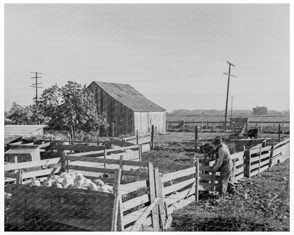 Farmyard in Tulare County California 1938 - Available at KNOWOL