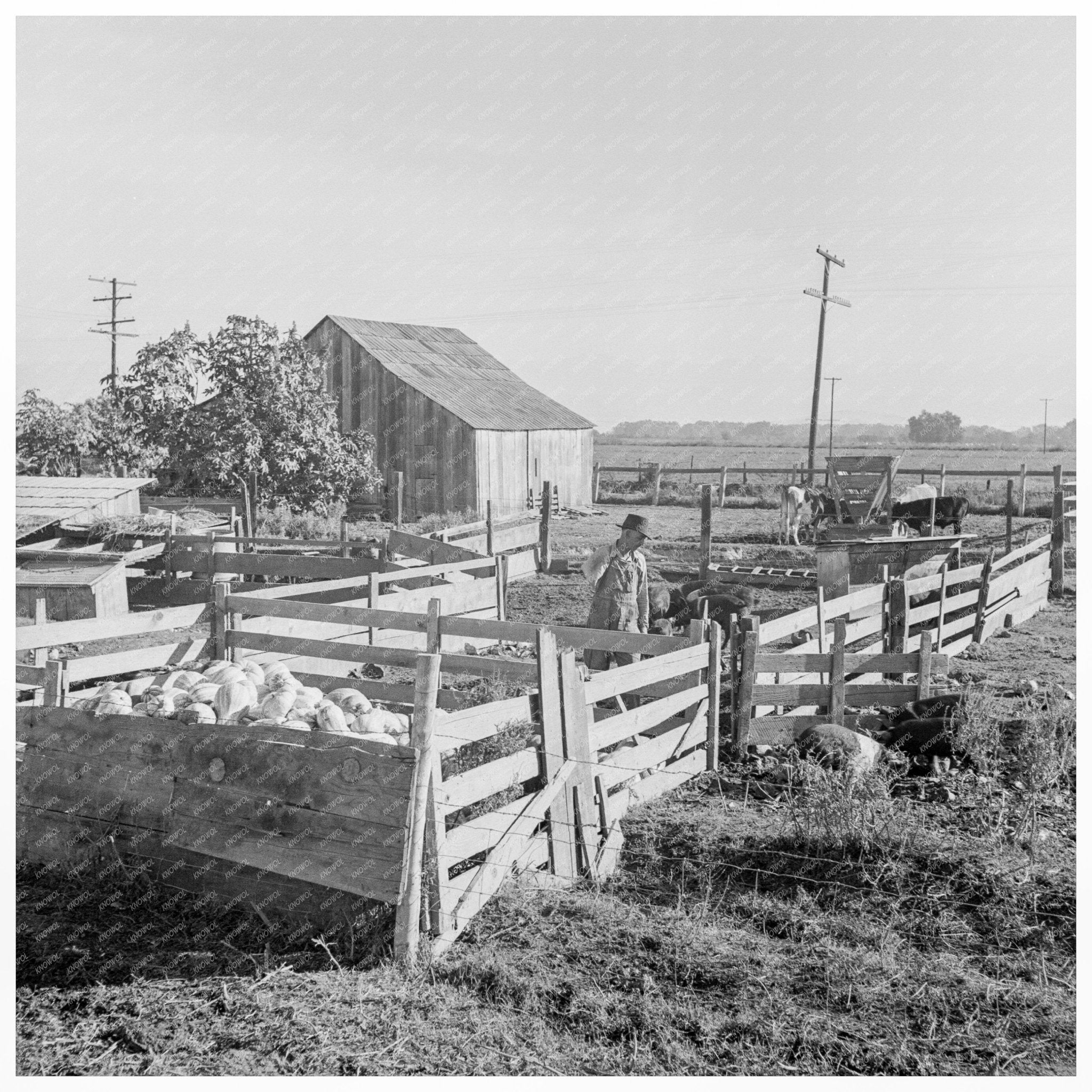 Farmyard of Rural Rehabilitation Client Tulare County 1938 - Available at KNOWOL