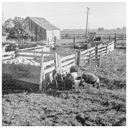 Farmyard Rehabilitation Client Tulare County 1938 - Available at KNOWOL