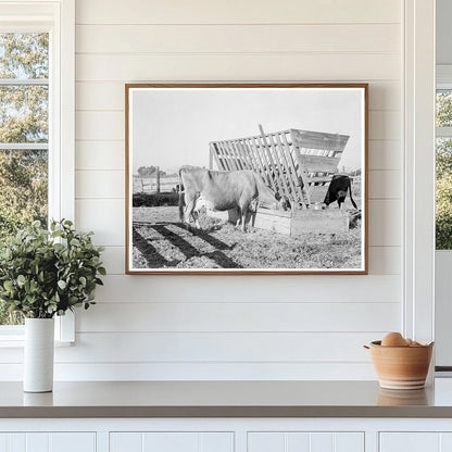 Farmyard Scene in Tulare County California 1938 - Available at KNOWOL