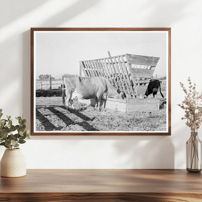 Farmyard Scene in Tulare County California 1938 - Available at KNOWOL