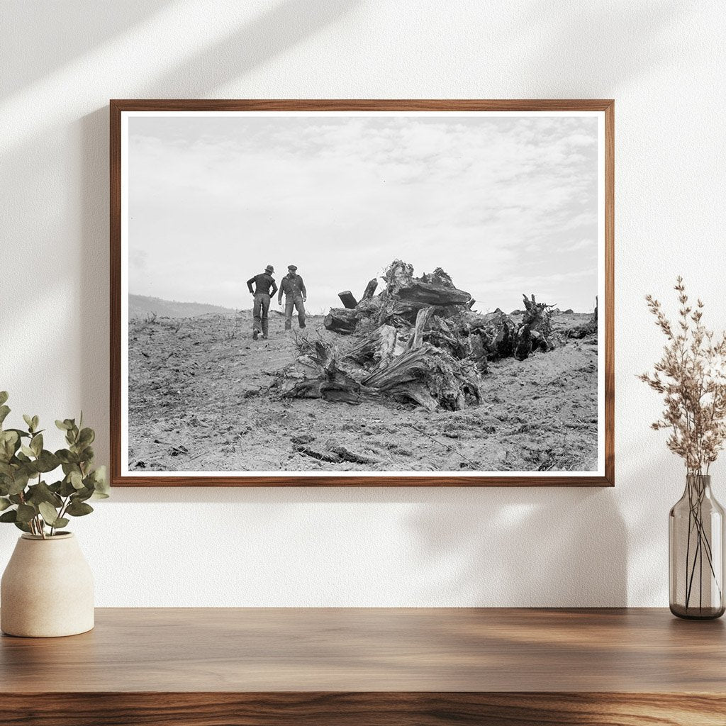 Father and Son on Cleared Stump Land Idaho 1939 - Available at KNOWOL