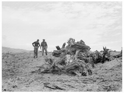 Father and Son on Cleared Stump Land Idaho 1939 - Available at KNOWOL