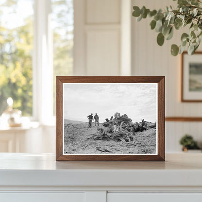 Father and Son on Cleared Stump Land Idaho 1939 - Available at KNOWOL