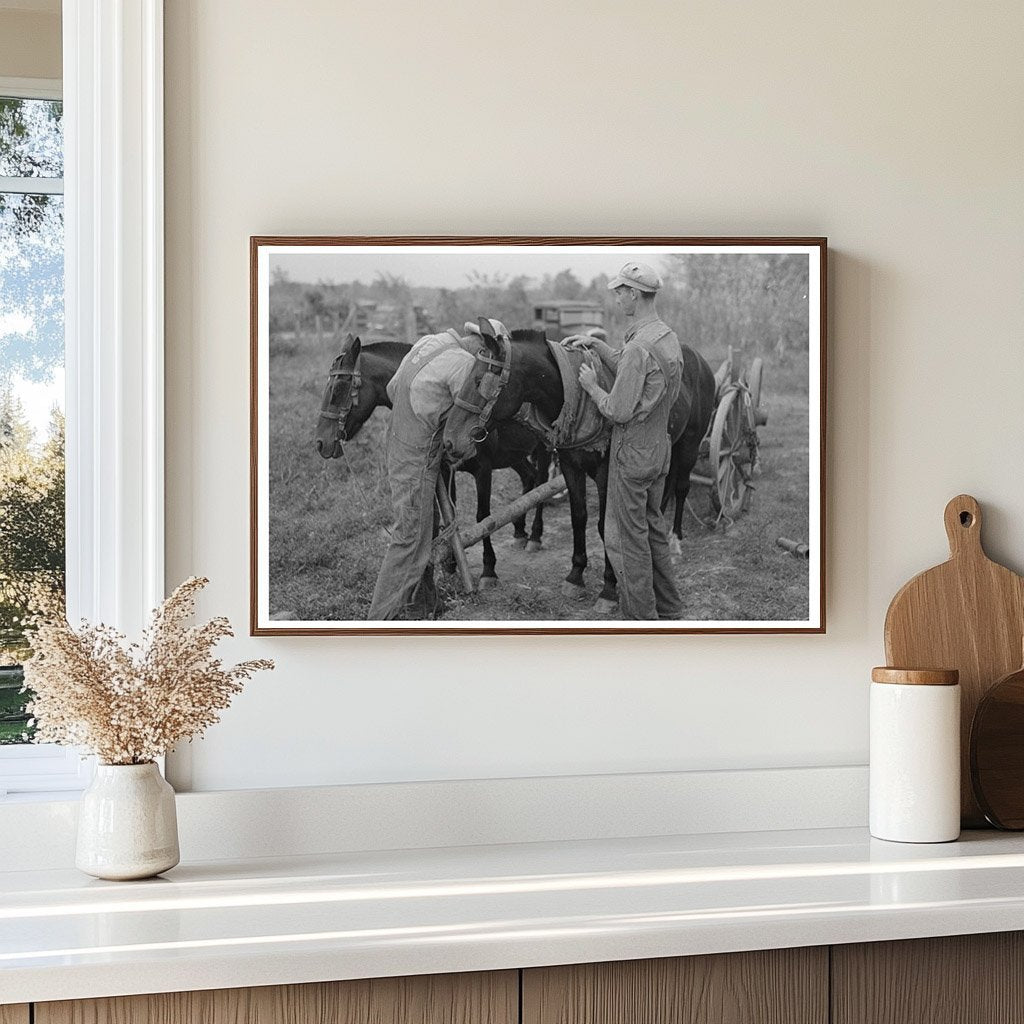 Father and Son Unhitching Horses Louisiana 1938 - Available at KNOWOL