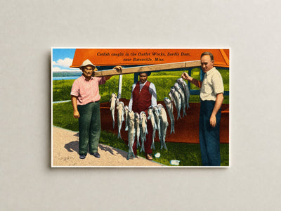 Sardis Lake, MS: Catfish caught in the outlet works, Sardis Dam, near Batesville